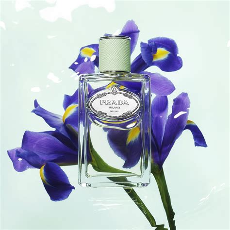 buy prada iris|prada iris perfume review.